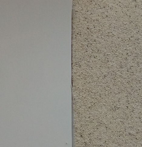 曲靖市預(yù)鋪防粘型防水卷材生產(chǎn)廠(chǎng)家供應(yīng) 濰坊星洲防水