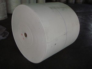 聚酯胎的特性與應(yīng)用